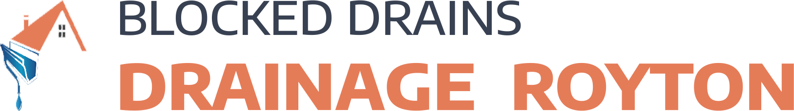 website logo